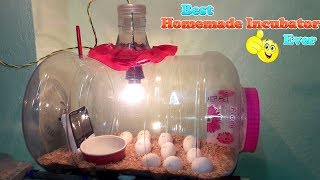 DIY  HOMEMADE INCUBATOR  HOW TO MAKE AN EGG INCUBATOR  HATCHING CHICKEN EGGS [upl. by Sisely]