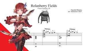 Rolanberry Fields  Final Fantasy XI Piano cover [upl. by Bolte]