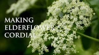 How To Make Make Elderflower Cordial  Easy Home Recipe [upl. by Yllim]