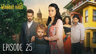 Wounded Birds  Episode 25  Multi Lang Subtitles Turkish Drama  Yaralı Kuşlar 2019 [upl. by Araf]