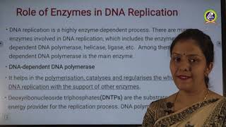 DNA REPLICATION [upl. by Libove]