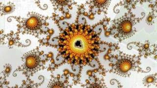 A Journey in The Mandelbrot set 640x360 [upl. by Leyes]