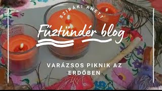 Erdei tündér piknik [upl. by Notgnirrab]