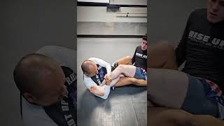 BJJ FLOWS bjj shortsfeed jiujitsu fyp martialarts [upl. by Einaled]