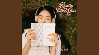 Really Like You Instrumental Spring Version [upl. by Adnilemreh]