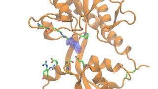 Glutamate binding its receptor [upl. by Nyllek]