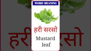 Daliy Use English words meaning Hindi amp English with pictures Daliy Use English Vocabulary Short [upl. by Leggat]