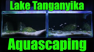 Why I aquascape my Lake Tanganyika aquariums like this [upl. by Haleelahk]