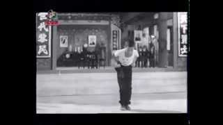 Choy Li Fut quotMon Gee Kuenquot 蔡李佛 萬字拳 [upl. by Adias]