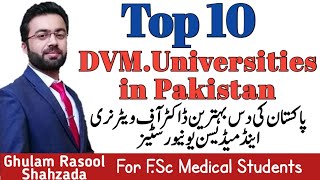 Top 10 DVM Universities  dvm universities  top universities for dvm in pakistan  lost of DVM uni [upl. by Namaj853]