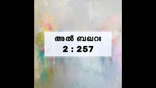 അൽ ബഖറഃ 2  257 islamicshorts quran albakara [upl. by Naima779]