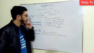 Introduction to Streptococcus [upl. by Jovi]