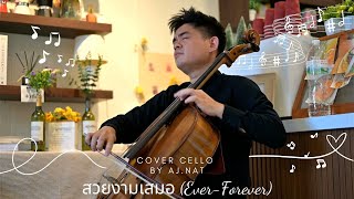 สวยงามเสมอ Ever Forever I Schubertiade  Spirit of Cello by AjNat [upl. by Ewell483]