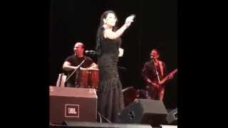 Aryana Sayeed Live Allah Shakoko Jan [upl. by Vogeley]