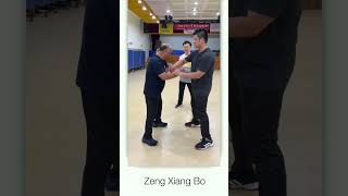 Zeng Xiang Bo Kung Fu Wing Chun lines kungfu martialartswingchun [upl. by Toshiko]