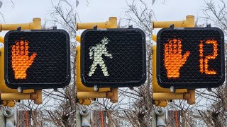 4 Pedestrian Countdown Signals Regular Visors amp quotZcratequot Visors [upl. by Kcirdes]