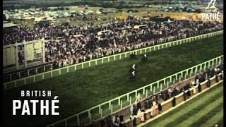 Royal Ascot 1961 [upl. by Ashwin]