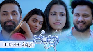 Jaanu  Episode 445  20241107  ITN [upl. by Ahseekan]