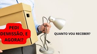 Como calcular rescisão no pedido de demissão [upl. by Goode]