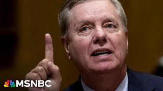 Sen Graham threw Trump under the bus in special grand jury testimony book says [upl. by Livia]