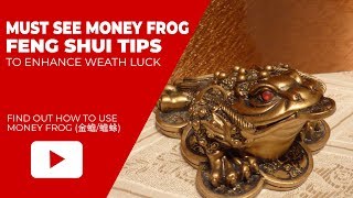 Feng Shui Tips to Place Three Legged Money Frog to Enhance Your Wealth Luck [upl. by Atnahc]