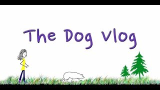 Dog Vlog Intro  Border Collies R Us [upl. by Nnylaj]