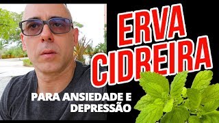 ERVA CIDREIRA PARA ANSIEDADE E DEPRESSÃO CONFERE AGORA  Dr Dayan Siebra [upl. by Lertnom]