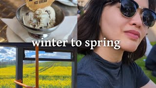 a few months in my life ❄️ winter to spring 🌻 masters degree diaries [upl. by Eceerahs93]