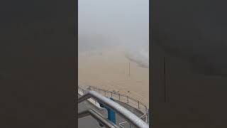 Rabbitohs training under the fog at Coogee Beach [upl. by Zobias593]