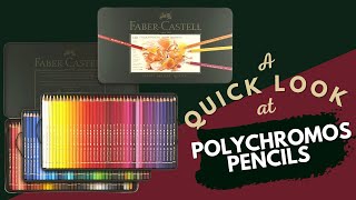 Quick Look at 120 Faber Castell Polychromos Pencils [upl. by Krissie]