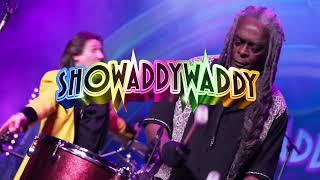 Showaddywaddy 2024 [upl. by Baelbeer]