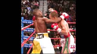 El Temible Castillo El Mexicano Que Paralizo La Técnica Mayweather eltemiblecastillo [upl. by Severin963]