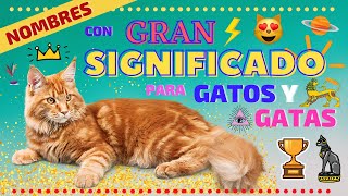 NOMBRES CON GRAN SIGNIFICADO PARA GATOS Y GATAS [upl. by Ailhad]