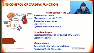 High Blood Pressure  BARORECEPTORS AND CHEMORECEPTORS ON BP Dr NIK NIKAM MD [upl. by Iormina]