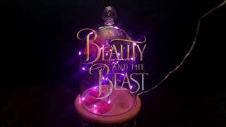 Enchanted Rose  Beauty and the Beast [upl. by Loella]