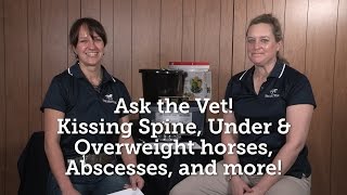 Ask the Vet – Kissing Spine Over and Underweight horses Hoof Abscesses and more – April 2016 [upl. by Odnam878]