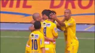 Botafogo 4 x 1 Madureira  Gols  Cariocão 2015 050415 HD [upl. by Yule]