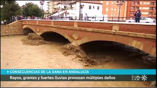 Inundaciones en Álora y el Valle del Guadalhorce Málaga [upl. by Zak]