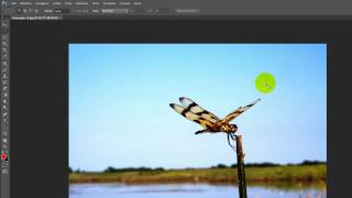 Come creare animazioni in GIF dalle foto con Photoshop [upl. by Heppman92]