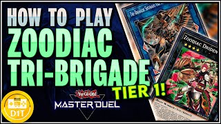 How to Play Zoodiac TriBrigade Tier 1 Deck YuGiOh Master Duel [upl. by Afas402]