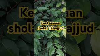 Keistimewaan Sholat Tahajjud dakwahsingkat fypシ゚ ustadzadihidayat [upl. by Tate730]