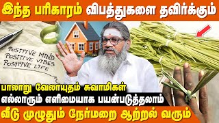 புனிதமான இடங்களில் மட்டுமே இது வளரும்  Palaru Swamigal  Tharpai Pul Benefits In Tamil [upl. by Quincey]