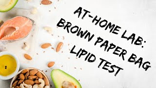 Athome Lab How do I test for lipids Brown Paper Bag Method [upl. by Olivie]