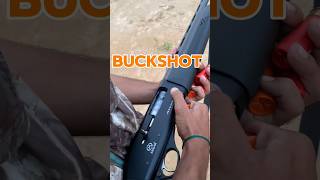 12 Gauge Shotgun Buckshot Power Test youtubeshorts shotgun 30borepistol 12Gauge duckhunting [upl. by Latsryk]