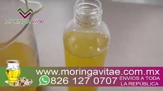 Extraccion de aceite de moringa  100 puro el mejor cosmetico natural del mundo  beneficios [upl. by Fasano]