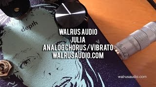 Walrus Audio JULIA ChorusVibrato [upl. by Tankoos]