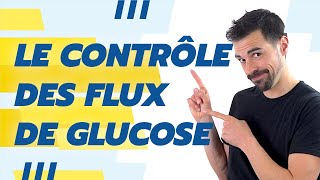 COURS DE TERMINALE SPÉCIALITÉ SVT CHAP18 LE CONTRÔLE DES FLUX DE GLUCOSE Bio Logique [upl. by Hamilah]