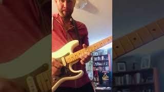 Fender American Professional II Stratocaster Maple vs Rosewood Fretboard [upl. by Goldwin]