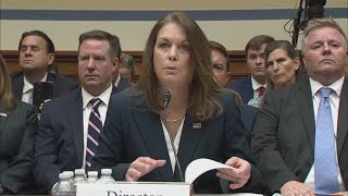 Secret Service director resigns [upl. by Ahsier245]