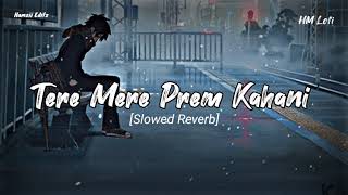 Tere Mere Prem Kahani  Lofi  Slowed Reverb  Rahat Ali KhanHMLOFI virallofi [upl. by Amby]